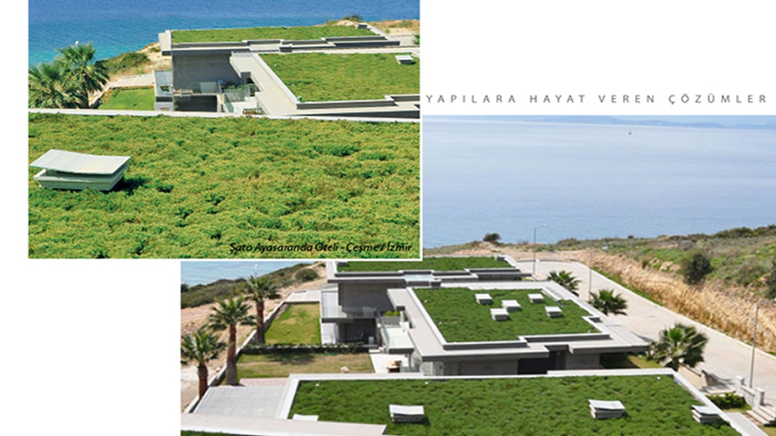 BTM, Yeşil Çatı Sistemleri ile Şehirlerde Doğaya Yer Açıyor