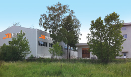 Standart, Avrupa'da Fabrika Satın Aldı