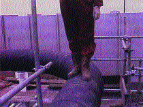 Taşınması Kolaylaşıyor