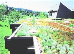 Teras Çatıların Termal Özellikleri ve Isıl Yalıtımın Önemi