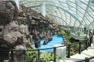 Aşkın Kanatları Müzesi, HYFIX'e Emanet